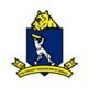 teamFlag
